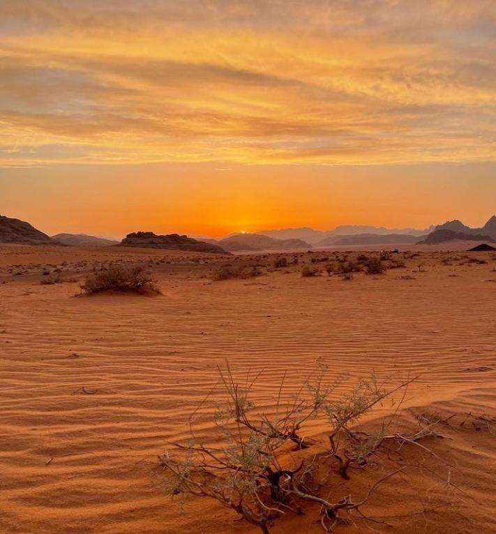 Wadi Rum Nature מראה חיצוני תמונה